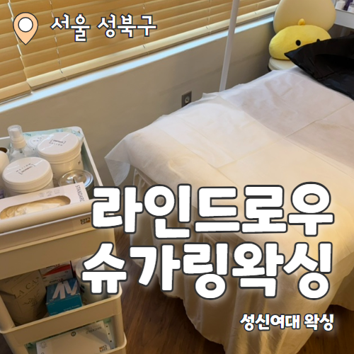  라인드로우 슈가왁싱&브로우 : 관리까지 완벽한 성신여대 왁싱 브라질리언왁싱 후기