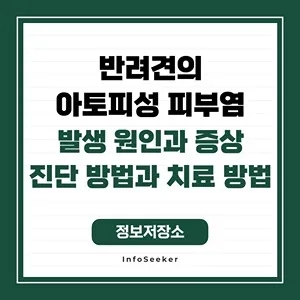  반려견의 아토피성 피부염의 발생 원인과 영향, 진단 방법과 관리 방법