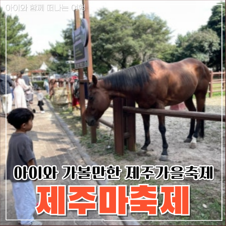  제주마축제 2024, 렛츠런파크 드론쇼와 슈퍼콘서트!