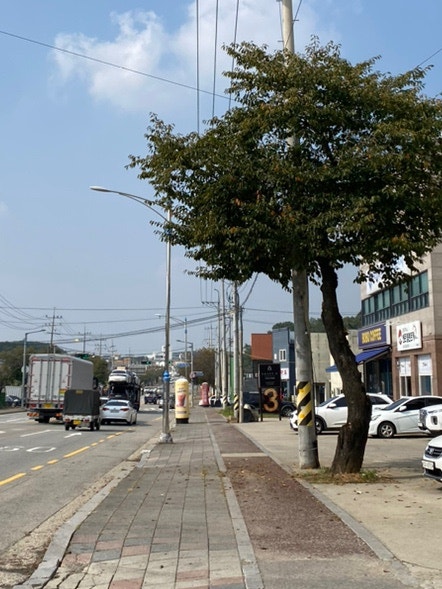 보보커피 사진 1