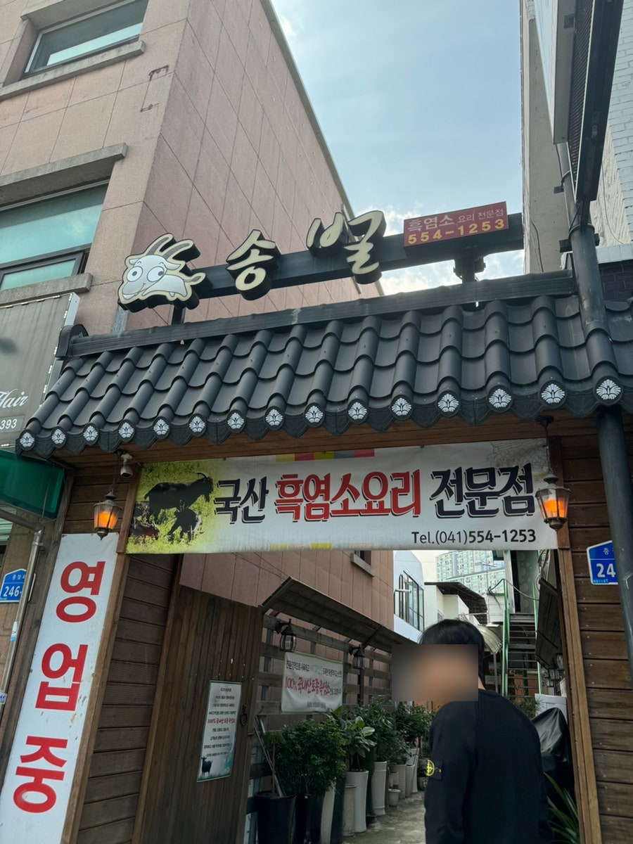 송벌 사진 1