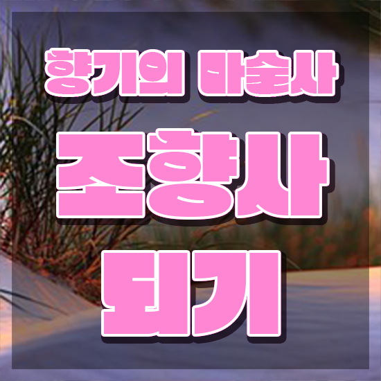  서울명동향수공방 , 조향사 취득 정보 및 커리어 활용방안