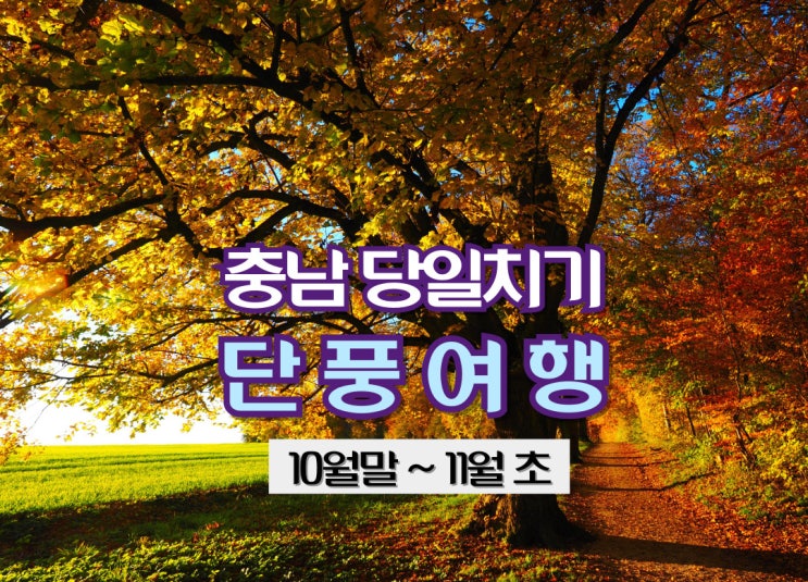  충남 당일치기 단풍여행
