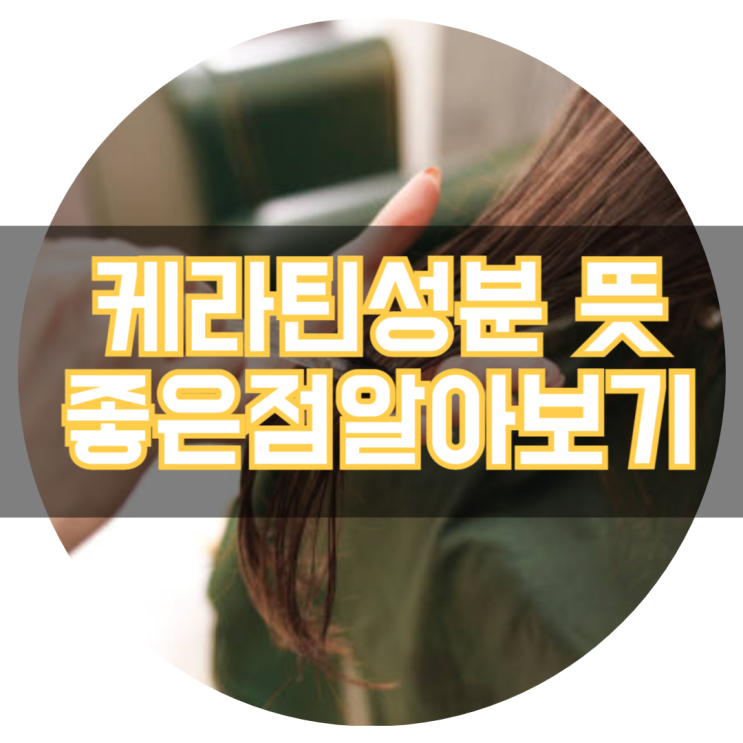  케라틴샴푸 케라틴 성분 뜻과 좋은점