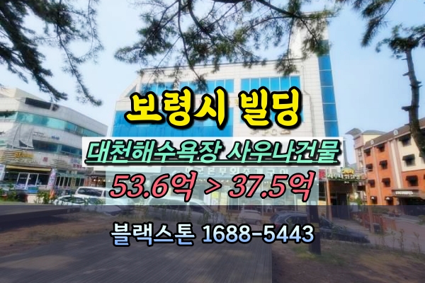  대천해수욕장 상가건물 경매 신흑동 사우나 빌딩 30억대