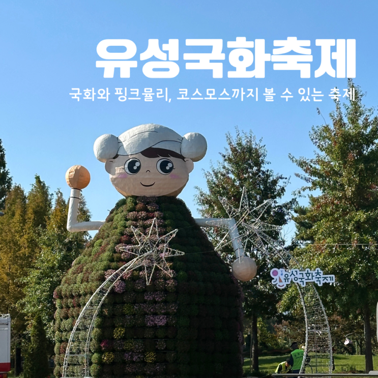  2024 유성국화축제 개화상태 음악회 이벤트 주차 정보