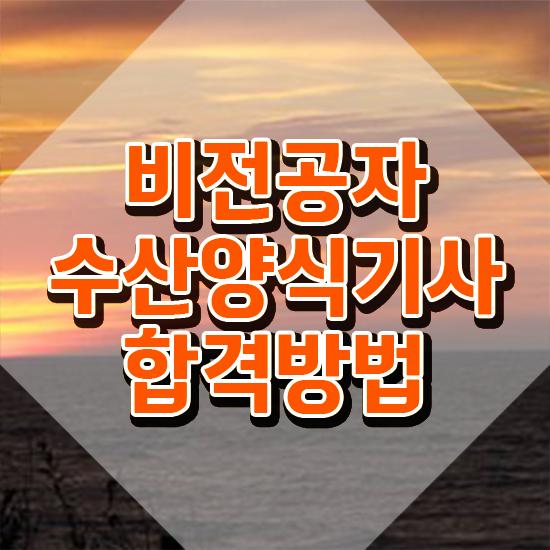  수산양식기사 시험응시자격 온라인 과정으로 빠르게 끝낸 팁
