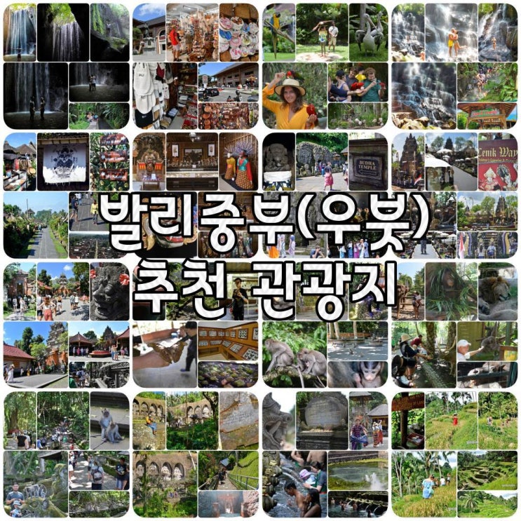 발리 중부(우붓) 추천 관광지 2024
