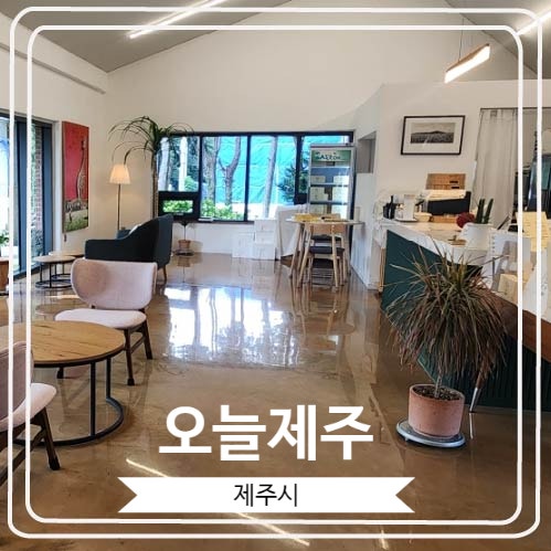  [오늘제주] 선물용으로 좋은 하르방느와 하르방샌드가 있는 제주도디저트맛집