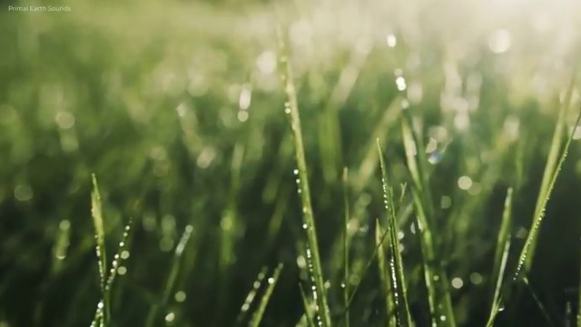  순천 사회복지학과 계열 사회복지사2급 경력없어도 학점은행제로 손쉽게