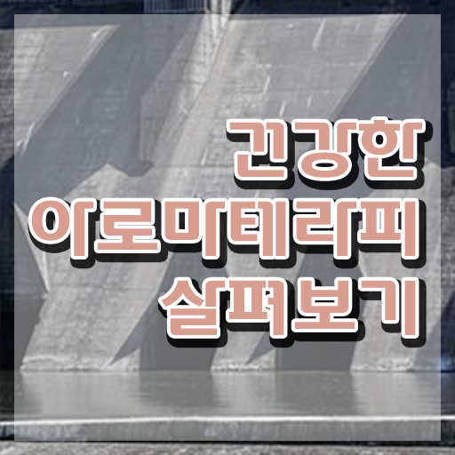  아로마뷰티diy지도사 시험접수 , 아로마뷰티DIY지도사 자격증 1급,2급 동시에 학습한 후기 및 구직정보