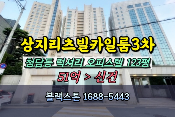  강남최고급오피스텔 경매 청담동 상지리츠빌 카일룸 3차 123평