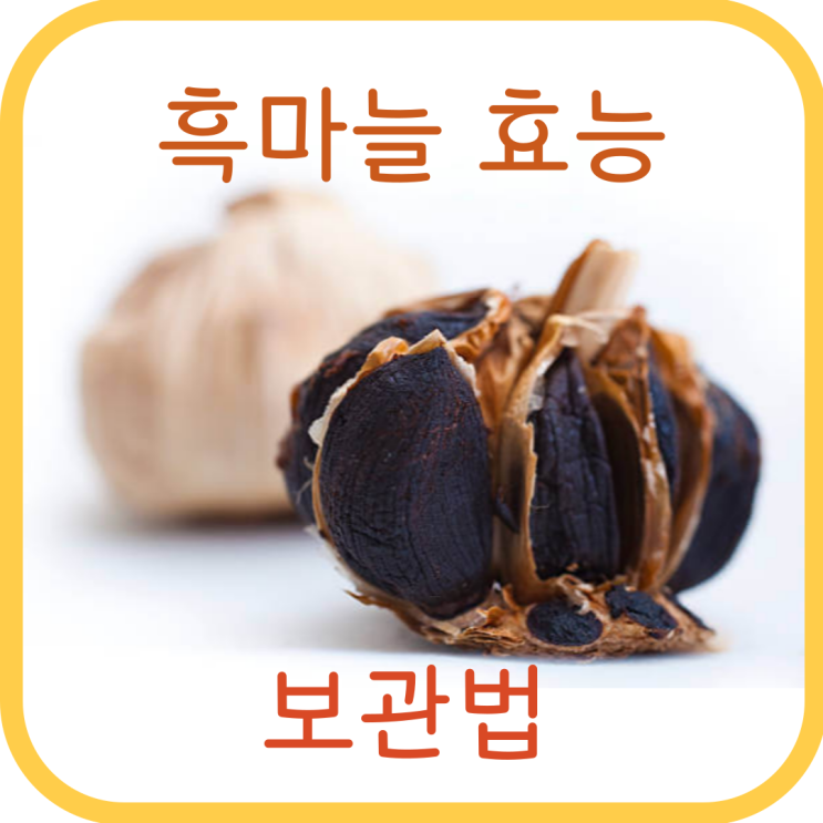  흑마늘 효능 전기밥솥 만들기 보관법