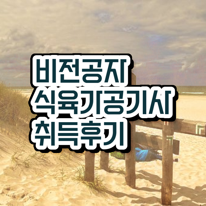  식육가공기사 자격요건 학점은행제로 간단하게 끝낸 비법