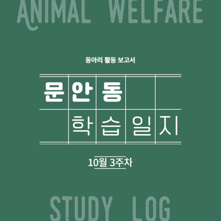  2023 문안동 학습일지 (10월 3주차)