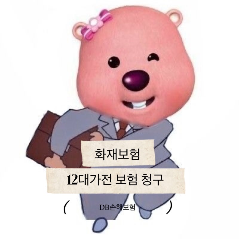 12대 가전제품 고장 수리 비용 보험 청구(DB손해보험-화재보험)