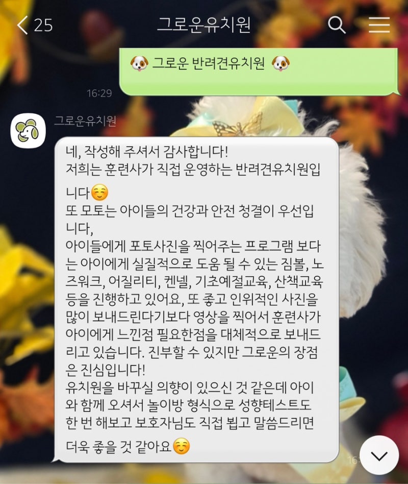 사진 8
