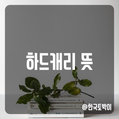  하드캐리하다 뜻 (hard carry)