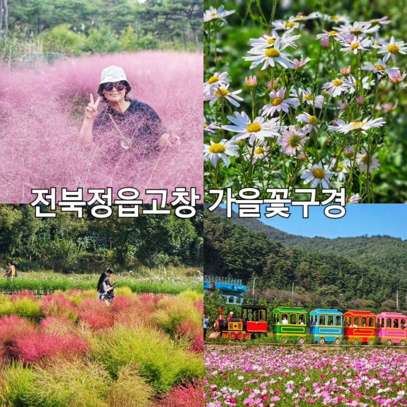 사진 5