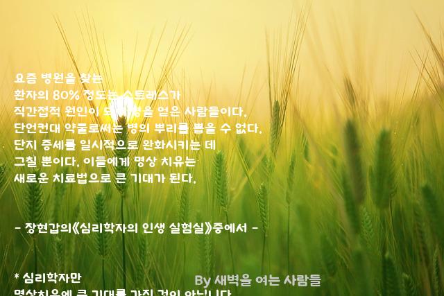 요즘 요즘