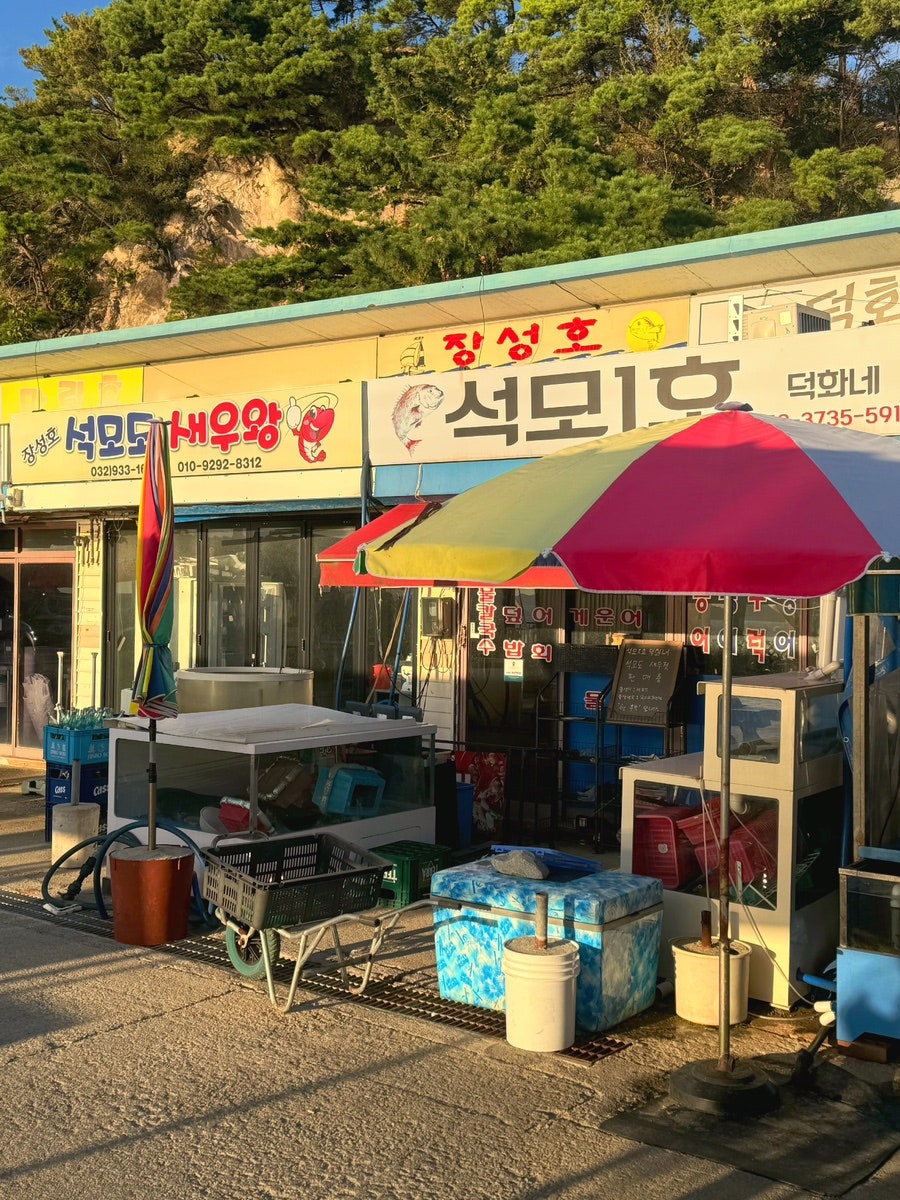 내리호 사진 4