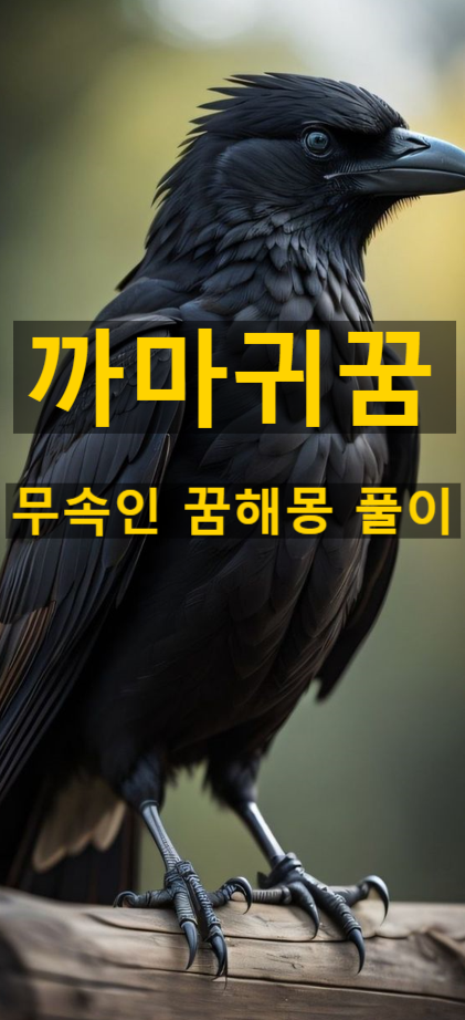 까마귀떼 꿈 까마귀나오는꿈 까마귀죽이는꿈