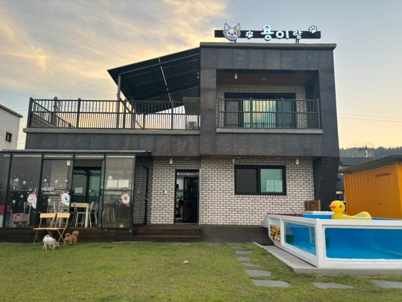 사진 2
