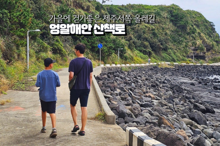  11월 제주도 여행 엉알해안 주차 올레길 산책로 여행지 가볼만한곳