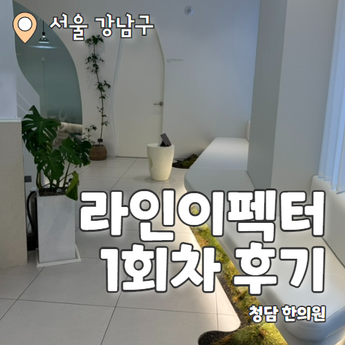  청담한의원 라인이펙터 1회차 팔뚝 지방분해 후기