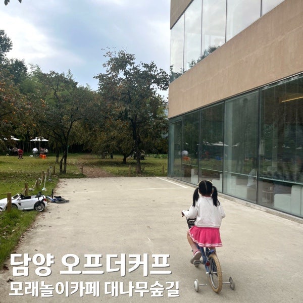 사진 10