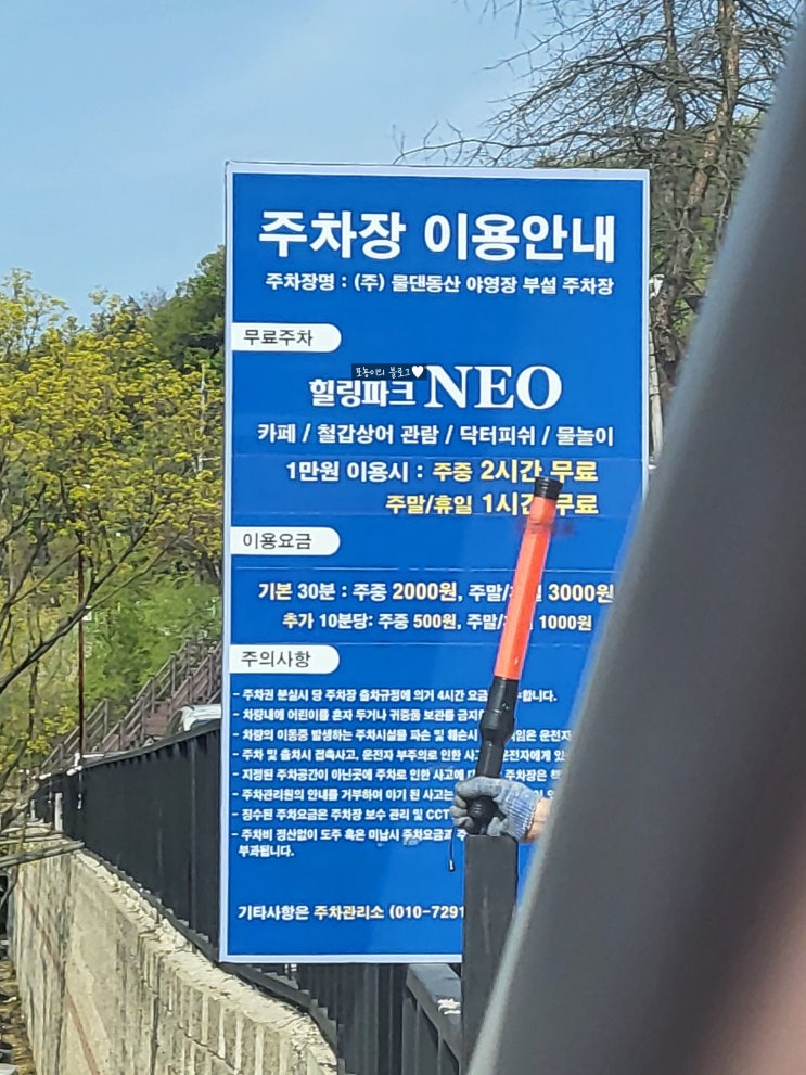  마장호수출렁다리 주말 주차 팁 운동화 꼭 신고가기 공영주차만차시 대안