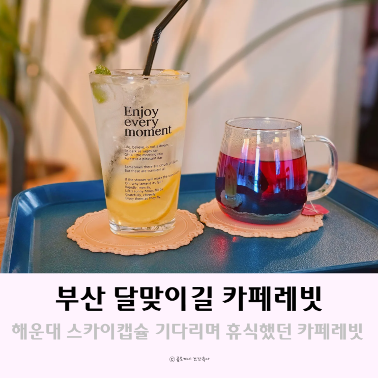 부산 달맞이길 해운대 스카이캡슐 대기하며 갈곳 카페레빗 부산 달맞이길 해운대 스카이캡슐 대기하며 갈곳 카페레빗