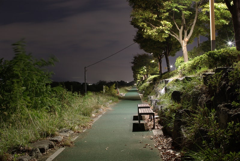 오래된 바디와 문제아 렌즈조합 펜탁스 DSLR K10D + 시그마 30mm f1.4