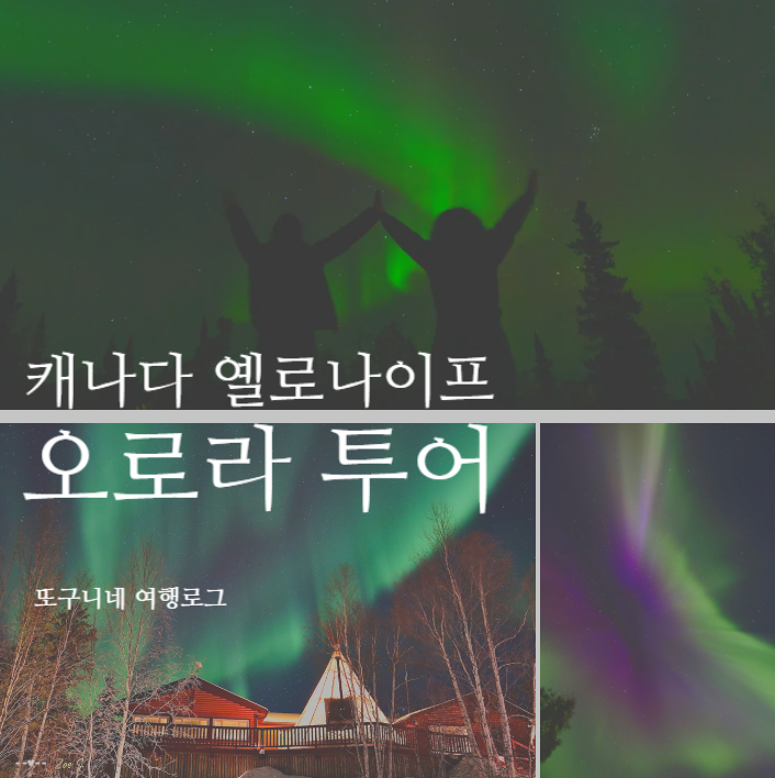  캐나다 오로라 헌팅 투어 옐로나이프 여행 추천!