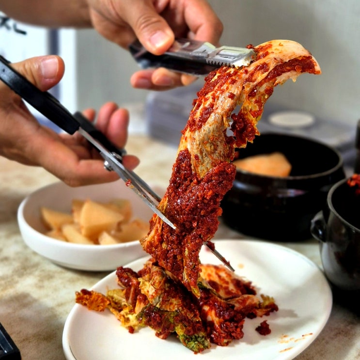 선화동 소머리해장국 실비김치 조합 아무도 못이겨
