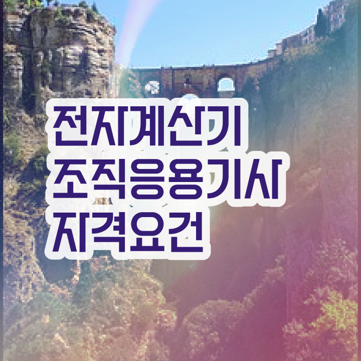  전자계산기조직응용기사 취득자격 온라인 수업으로 단기간에 끝낸 팁
