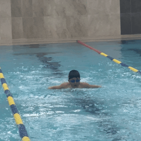 일산 YMCA 수영장 어린이수영 상급반 후기