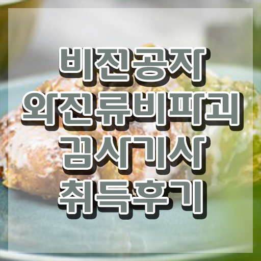  와전류비파괴검사기사 학은제 와전류비파괴검사기사 응시조건 인강으로 편하게 완료한 과정