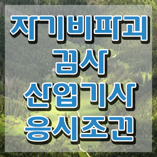  자기비파괴검사산업기사 자격요건 자기비파괴검사산업기사 응시자격 인강으로 간편하게 완료한 후기