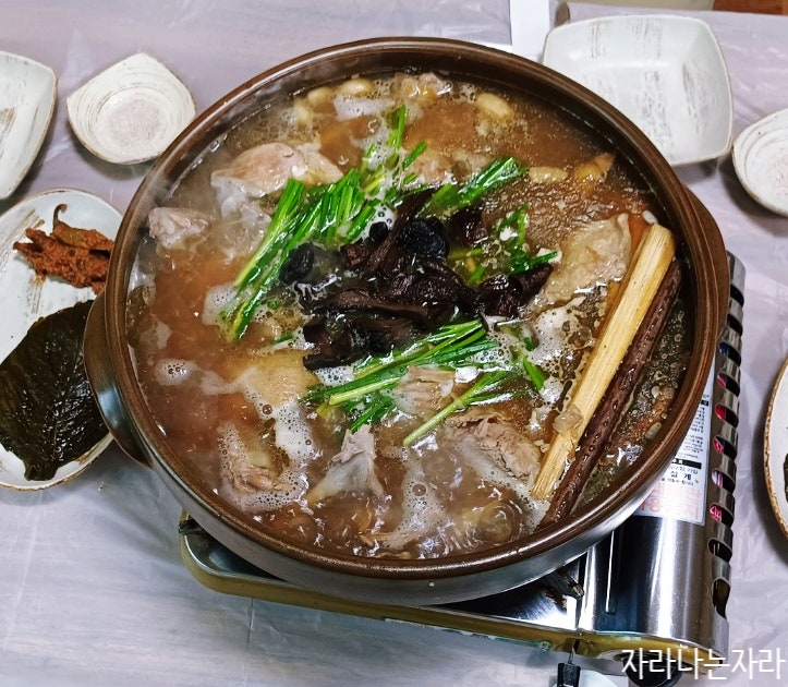 황금알 사진