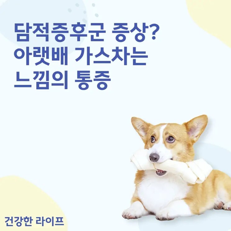  담적증후군 증상? 아랫배 가스차는 느낌의 통증