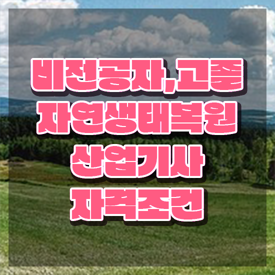  자연생태복원산업기사 시험응시자격 독학으로 쉽고 빠르게 성공한 전략