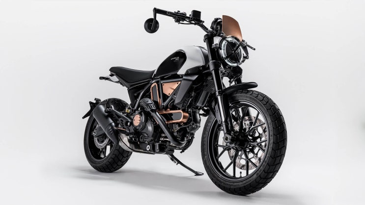  리조마 스크램블러 한정판 / 10 Anniversario rizoma Edition Scrambler "The Symbiosis" / DWP 2025- 두카티 송도점 임재원