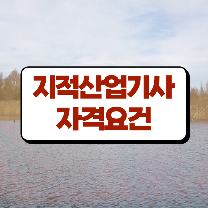  지적산업기사 실기 지적산업기사 자격요건 독학으로 편하게 성공한 후기