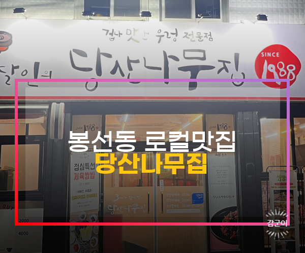  광주 봉선동 로컬맛집, 당산나무집