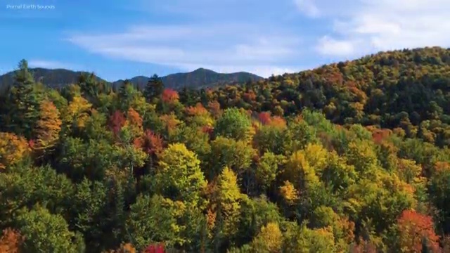  부동산매매 준비서류 , 부동산자산관리전문가 부동산자산관리사자격증 취득했던 후기 , 현황과 채용정보