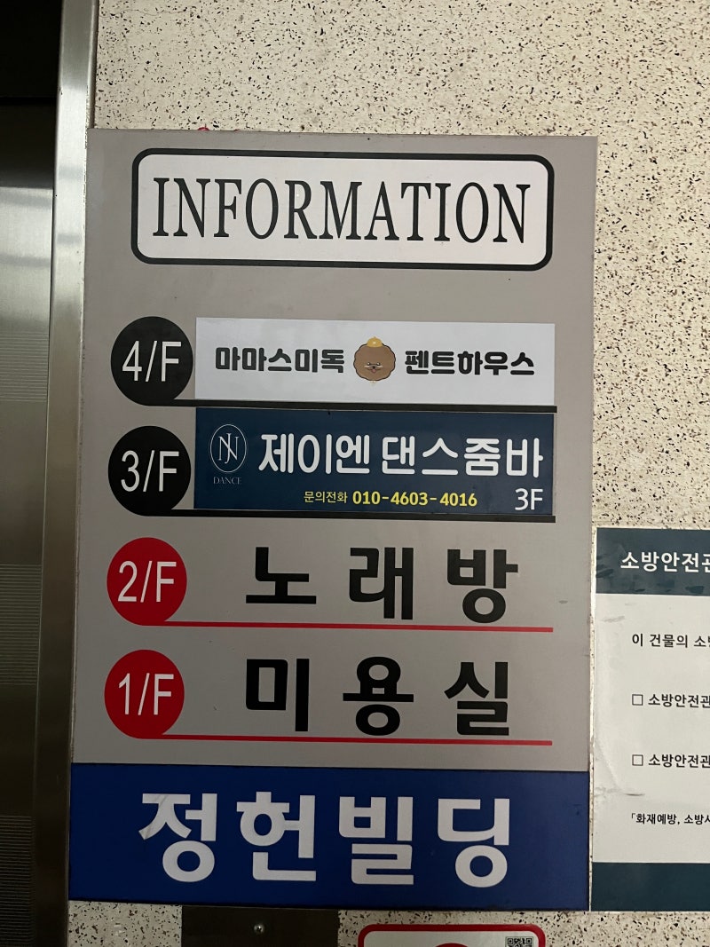 사진 5