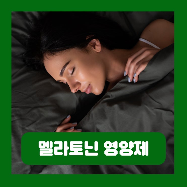  멜라토닌 영양제 효과 부작용 수면 호르몬 식물성 1mg 후기