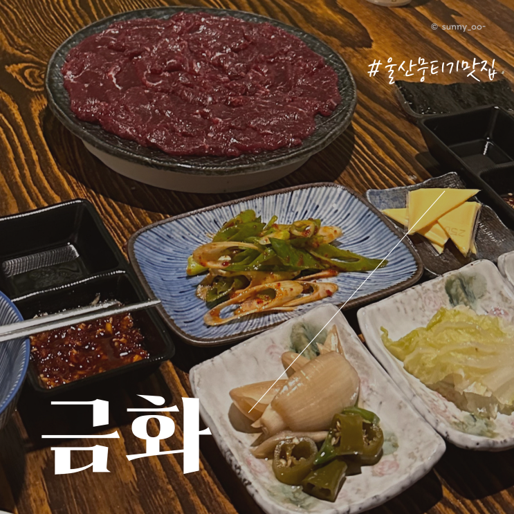  [울산/삼산] 신규 오픈 신선한 당일 도축 생고기 전문점 쫀득한 뭉티기 맛집 '금화'