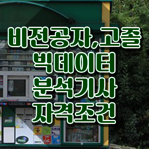  빅데이터분석기사 전자책 , 빅데이터분석기사 응시자격 인강으로 단기간에 준비한 과정